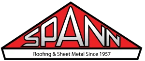 Spann-logo-transparent-1024x431.png